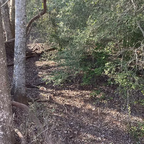 $698,000 | 4668 Farm To Market Road 535, Cedar Creek, TX 78612