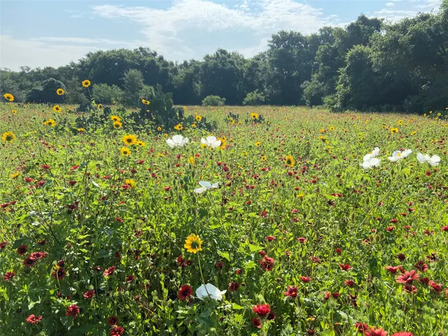 $698,000 | 4668 Farm To Market Road 535, Cedar Creek, TX 78612