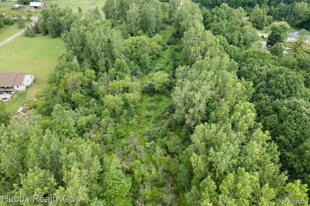 0 Birch Run Road Millington, MI 48746 - Photo 13 of 14