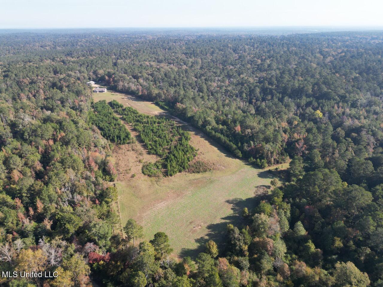 5098 New Hope Road Gloster, MS 39638 - Photo 11 of 48 DJI_0961 Large