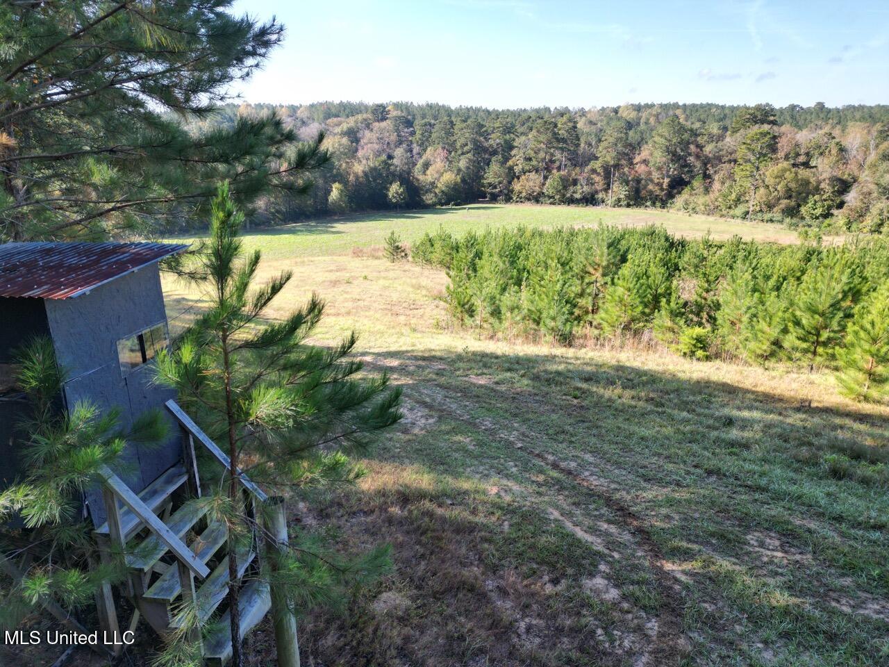 5098 New Hope Road Gloster, MS 39638 - Photo 13 of 48 DJI_0970 Large