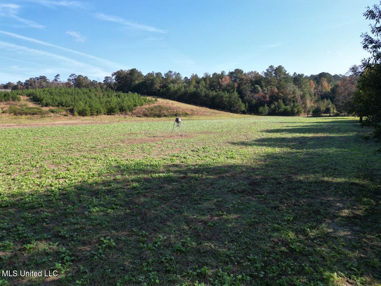 5098 New Hope Road Gloster, MS 39638 - Photo 14 of 48 DJI_0973 Large
