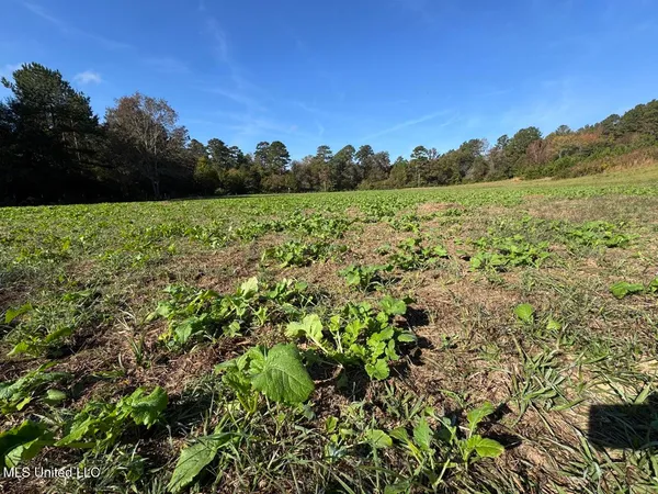 $1,199,000 | 5098 New Hope Road, Gloster, MS 39638