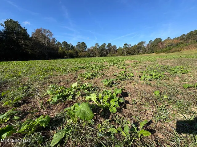 $1,250,000 | 5098 New Hope Road, Gloster, MS 39638