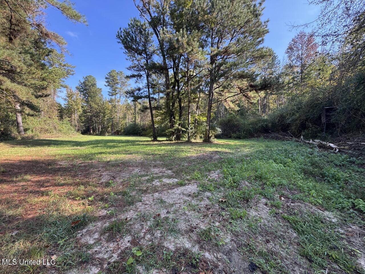 5098 New Hope Road Gloster, MS 39638 - Photo 29 of 48 IMG_0054 Large