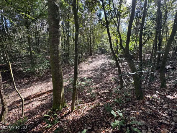 $1,199,000 | 5098 New Hope Road, Gloster, MS 39638