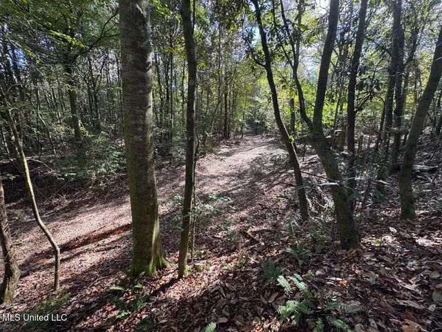 $1,250,000 | 5098 New Hope Road, Gloster, MS 39638