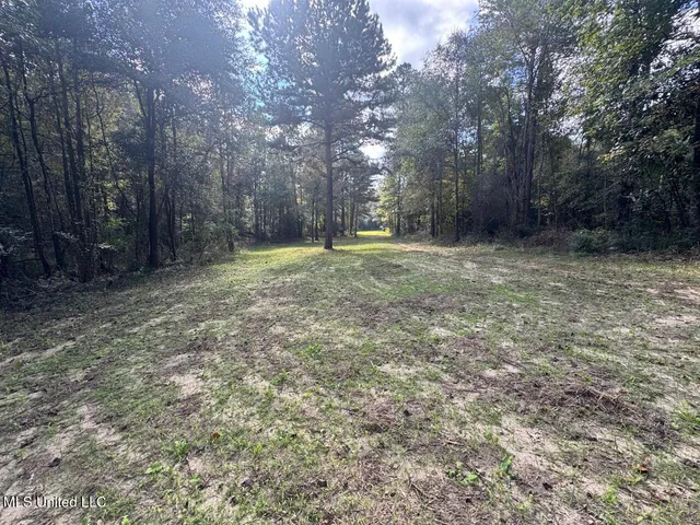 $1,250,000 | 5098 New Hope Road, Gloster, MS 39638