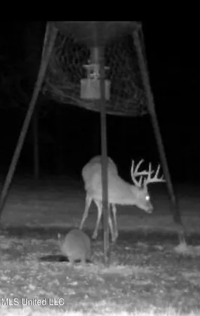 $1,199,000 | 5098 New Hope Road, Gloster, MS 39638