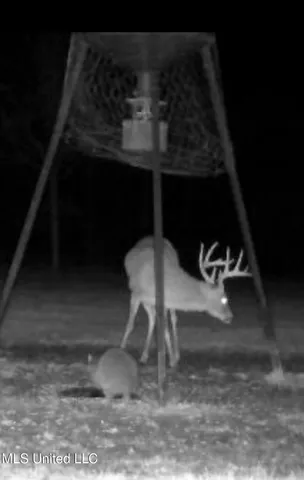 $1,250,000 | 5098 New Hope Road, Gloster, MS 39638