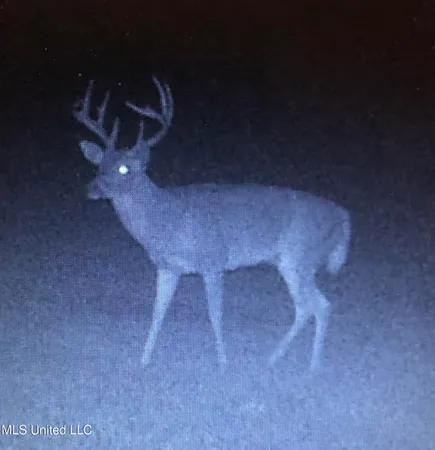 $1,199,000 | 5098 New Hope Road, Gloster, MS 39638