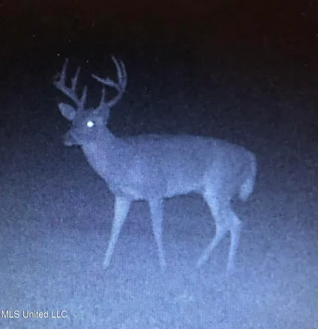 $1,250,000 | 5098 New Hope Road, Gloster, MS 39638