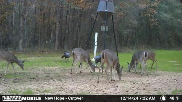 $1,250,000 | 5098 New Hope Road, Gloster, MS 39638