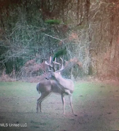 $1,199,000 | 5098 New Hope Road, Gloster, MS 39638