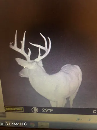 $1,199,000 | 5098 New Hope Road, Gloster, MS 39638