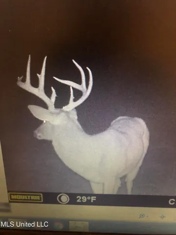 $1,250,000 | 5098 New Hope Road, Gloster, MS 39638