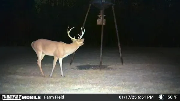 $1,199,000 | 5098 New Hope Road, Gloster, MS 39638