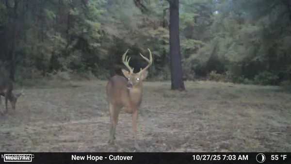 $1,199,000 | 5098 New Hope Road, Gloster, MS 39638