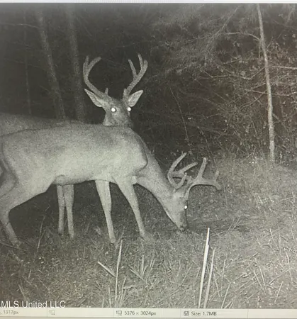 $1,199,000 | 5098 New Hope Road, Gloster, MS 39638