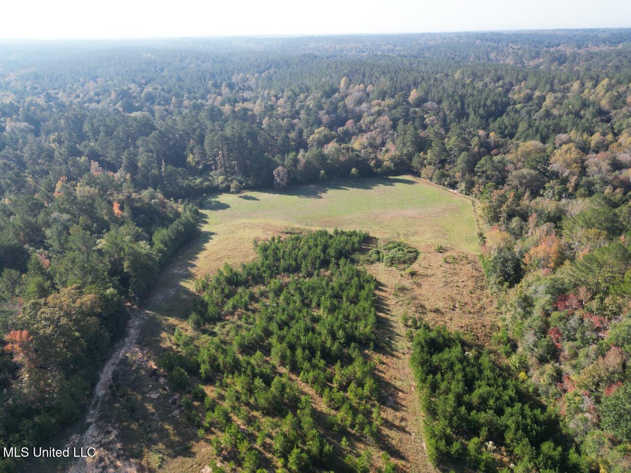5098 New Hope Road Gloster, MS 39638 - Photo 7 of 48 DJI_0952 Large