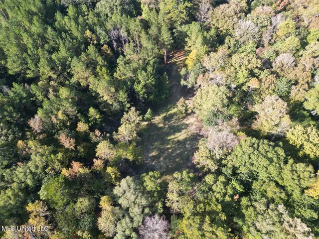 $1,250,000 | 5098 New Hope Road, Gloster, MS 39638