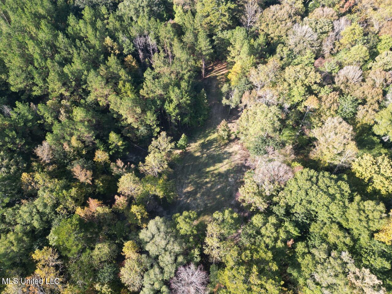 5098 New Hope Road Gloster, MS 39638 - Photo 9 of 48 DJI_0957 Large