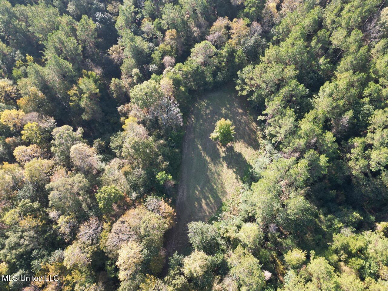 5098 New Hope Road Gloster, MS 39638 - Photo 10 of 48 DJI_0958 Large