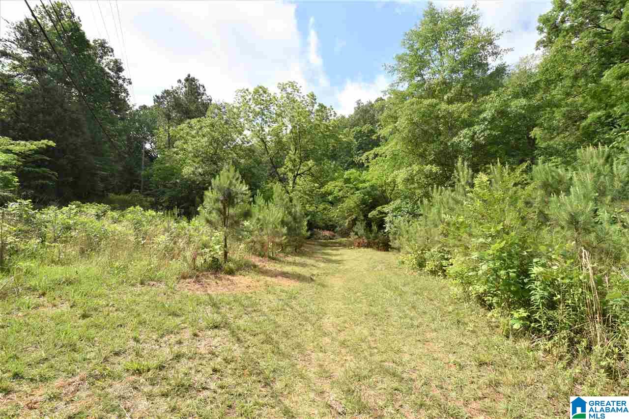 3279 Shannon Wenonah Road, Unit 3 Bessemer, AL 35022 - Photo 1 of 2