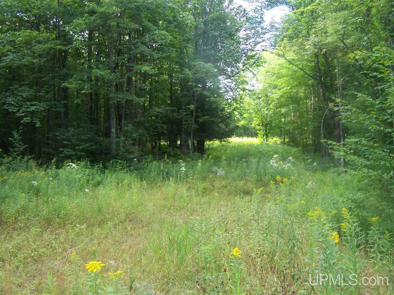 C-wi Park Road Hurley, WI 54534 - Photo 15 of 27