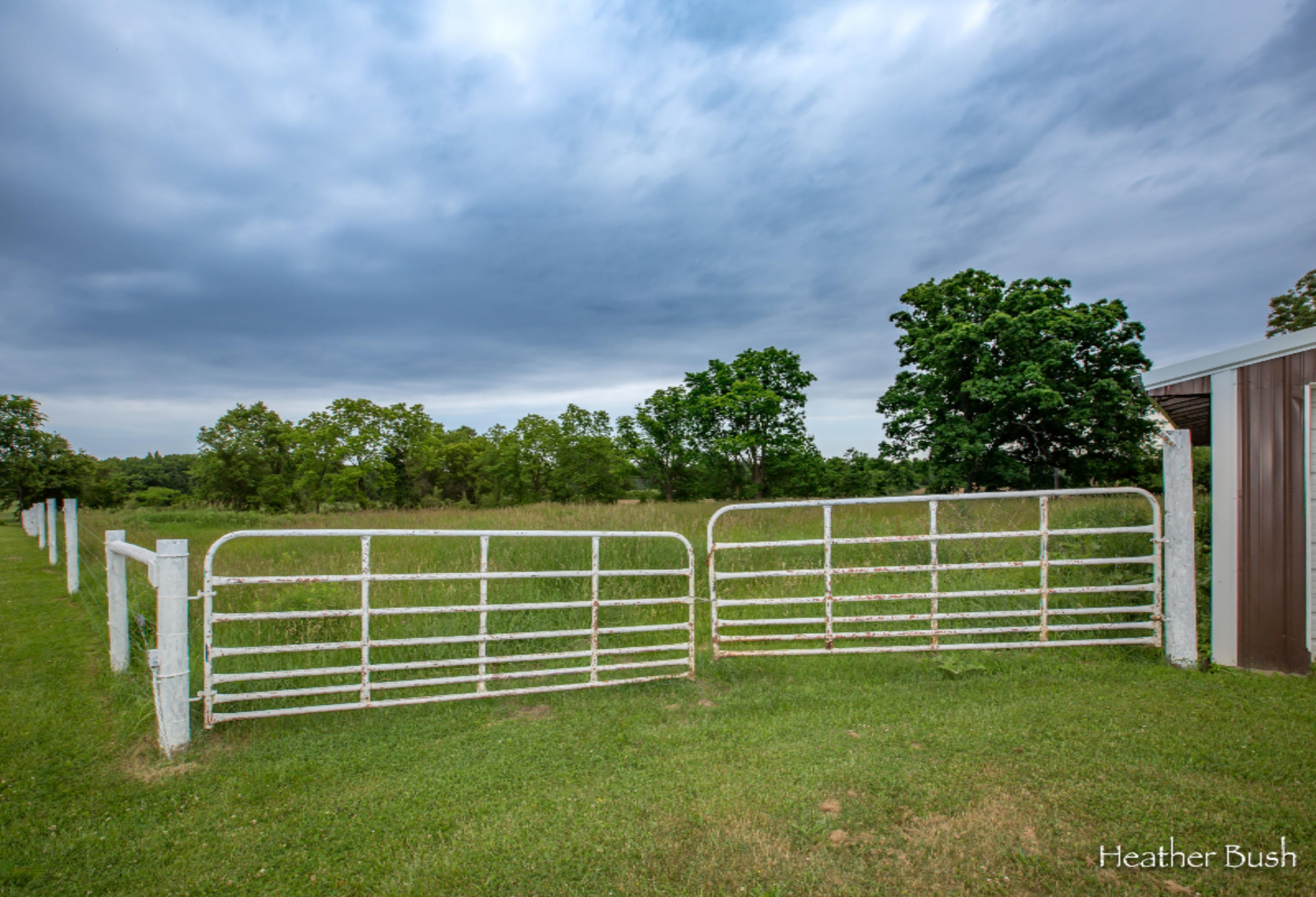 10200 Towner Road Portland, MI 48875 - Photo 28 of 35 10200 Towner Rd-Portland-Bush-1847