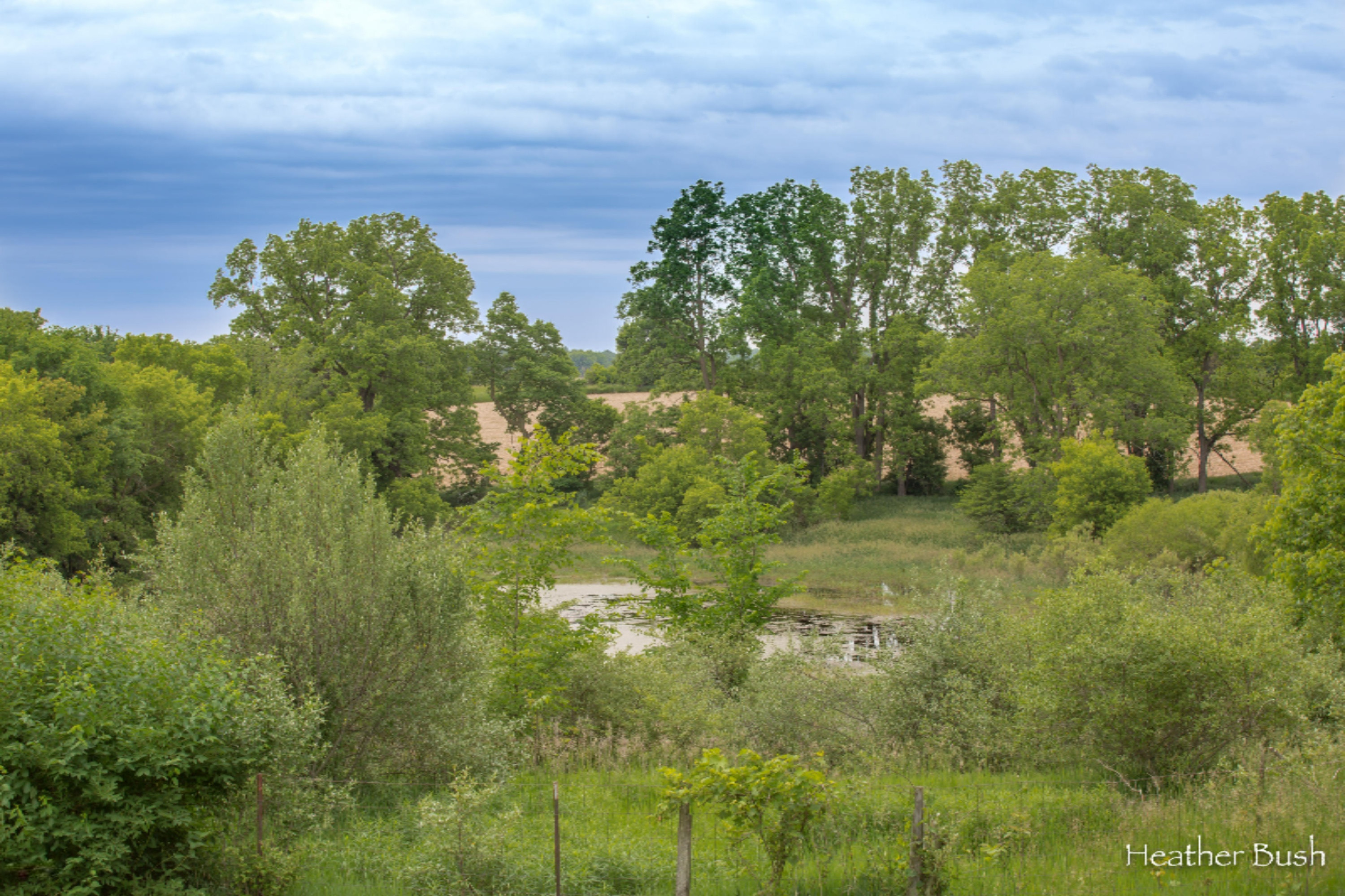 10200 Towner Road Portland, MI 48875 - Photo 29 of 35 10200 Towner Rd-Portland-Bush-1860