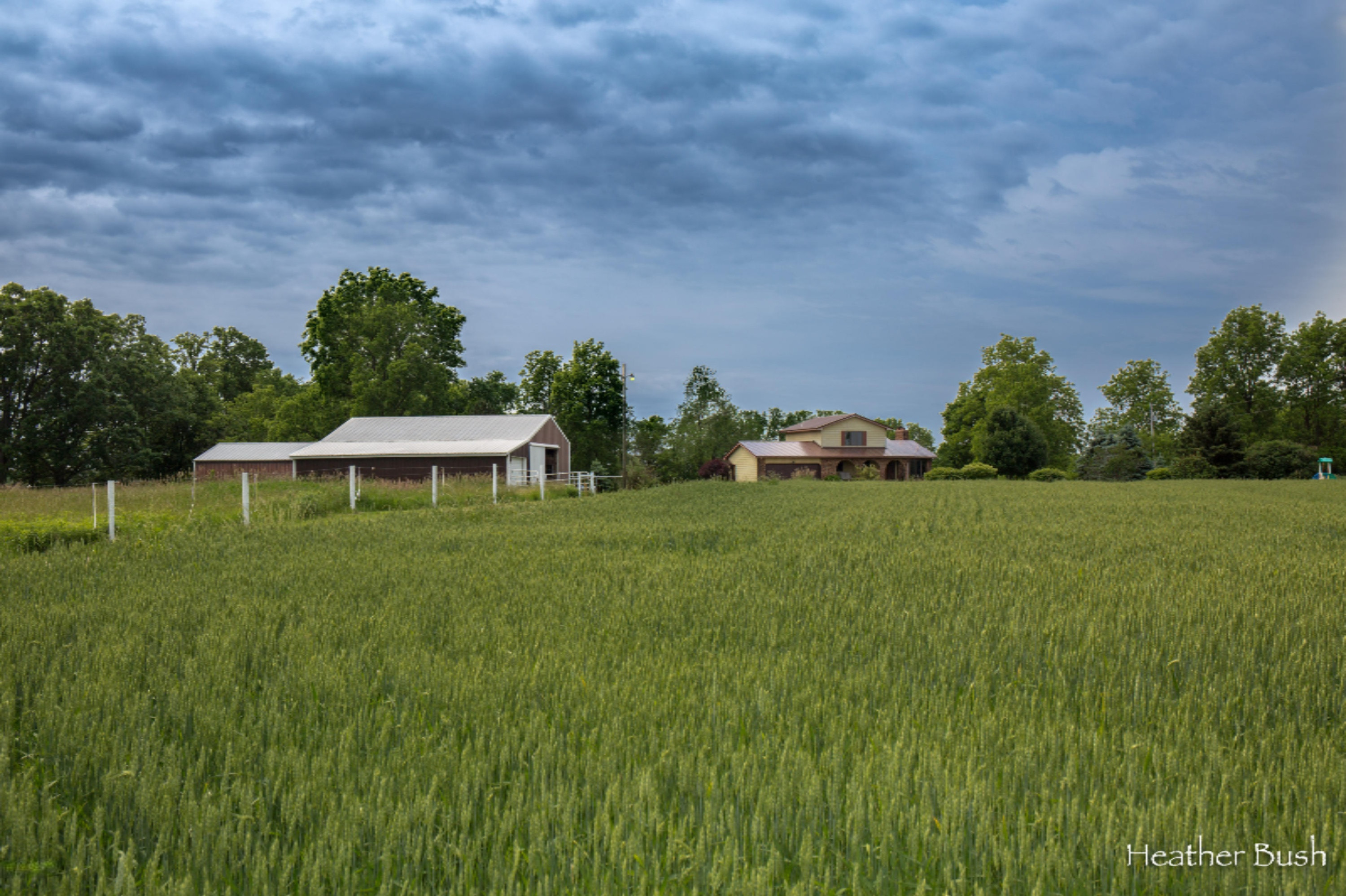 10200 Towner Road Portland, MI 48875 - Photo 31 of 35 10200 Towner Rd-Portland-Bush-1868