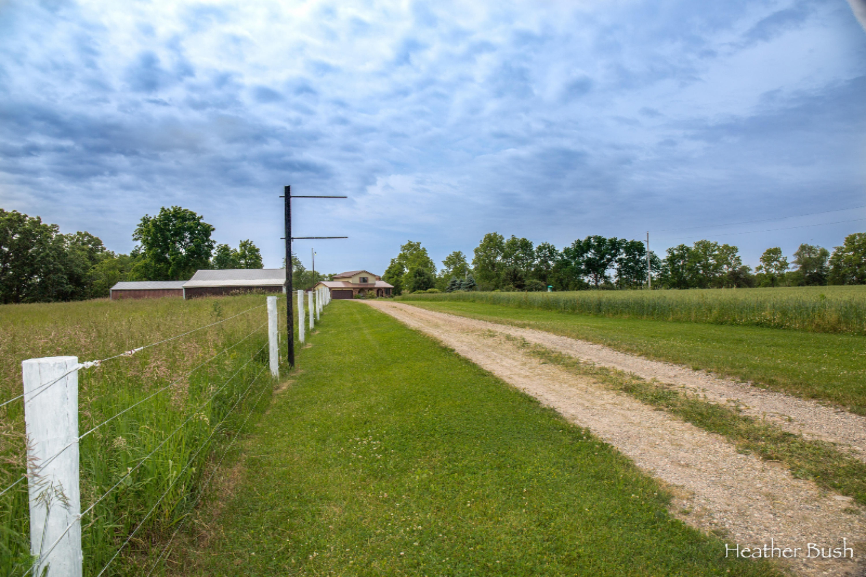 10200 Towner Road Portland, MI 48875 - Photo 32 of 35 10200 Towner Rd-Portland-Bush-1867