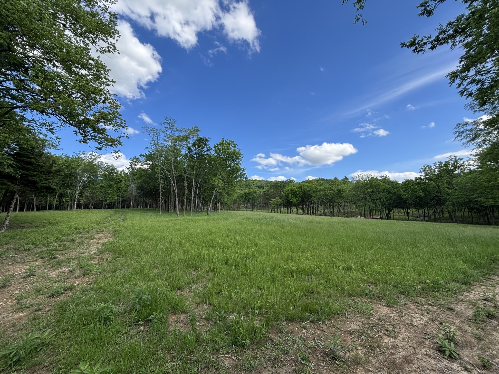 9205 Bowles Road Rockvale, TN 37153 - Photo 25 of 54 Gallery Image 25