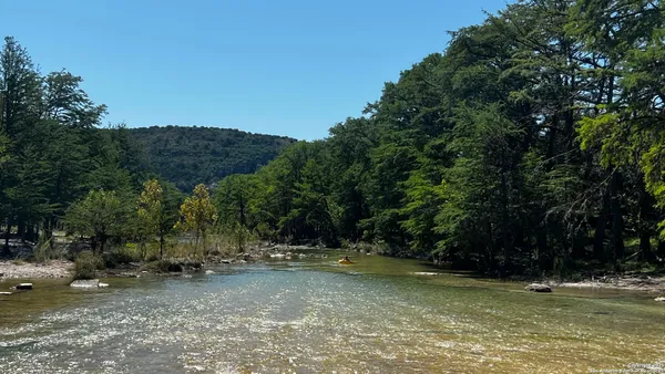 a view of a tree with a yard