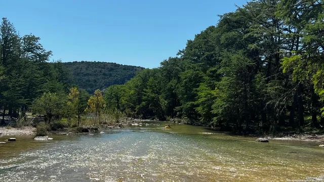 a view of a tree with a yard