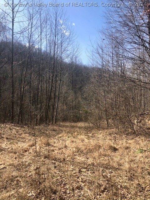 0 Grapevine Road Charleston, WV 25320 - Photo 31 of 36 Gallery Image 31