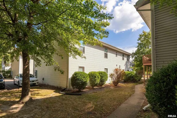 a view of a backyard with plants and a large tree