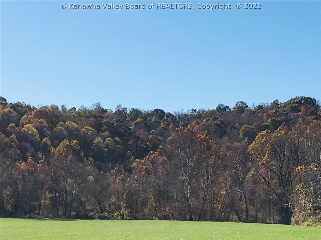 5597 Little Sandy Road Ravenswood, WV 26164 - Photo 12 of 21 Gallery Image 12