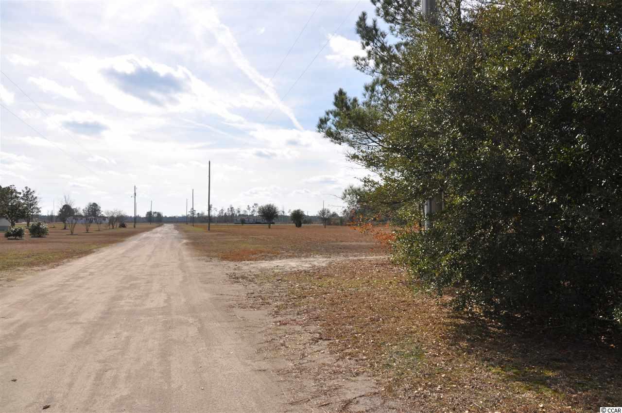 465 McNabb Short Cut Road Loris, SC 29569 - Photo 7 of 40 Gallery Image 7