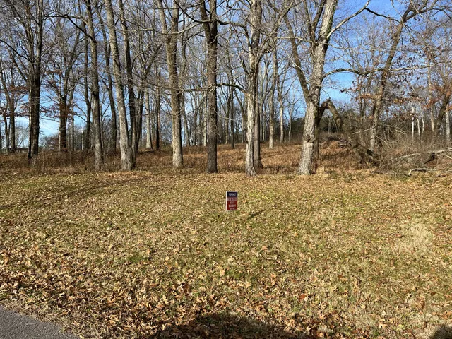 a view of a yard with large trees