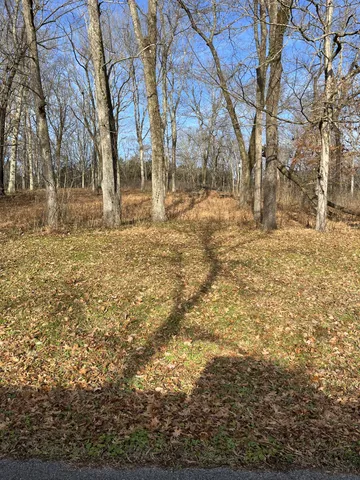 a view of yard covered with snow
