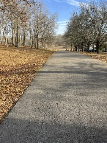 a big yard with road and trees
