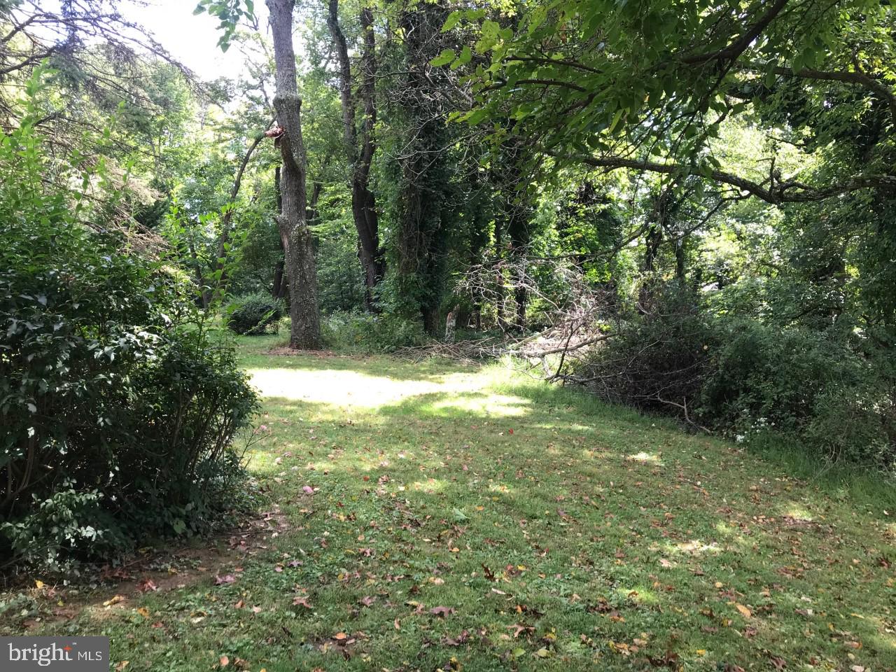 264 Homestead Road Wayne, PA 19087 - Photo 6 of 6