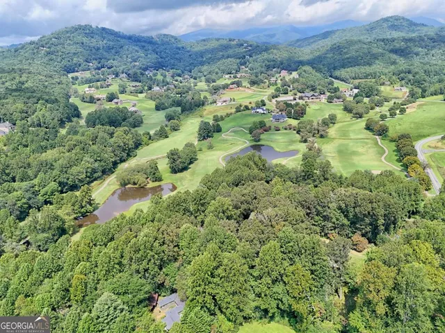a view of a forest with a houses