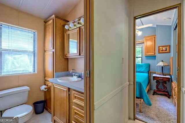 a view of a park with large trees