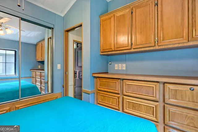 a view of a forest with lots of trees