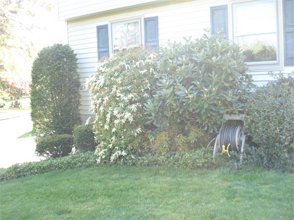 5 Butternut Hollow Road West Springfield, MA 01089 - Photo 4 of 30 Gallery Image 4