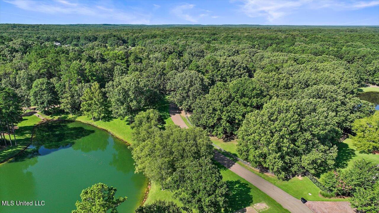 1063 Robinson Springs Road Madison, MS 39110 - Photo 3 of 11 06-1063 Robinson Springs Rd