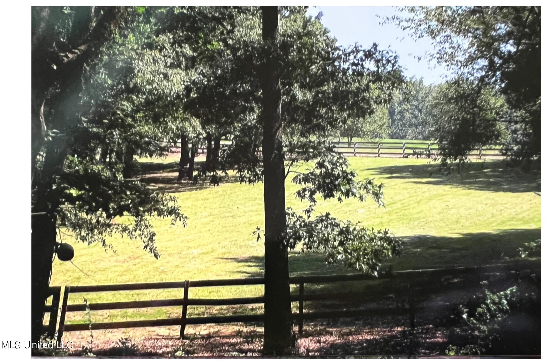 1063 Robinson Springs Road Madison, MS 39110 - Photo 7 of 11 Screenshot 2023-07-30 at 11.06.28 AM